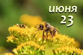23 июня
